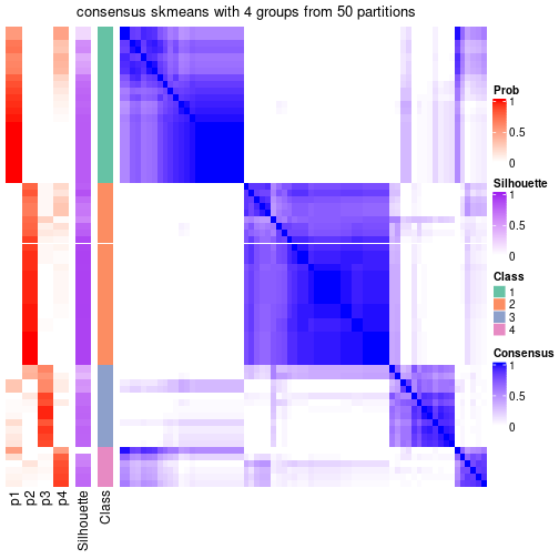 plot of chunk tab-node-0131-consensus-heatmap-3