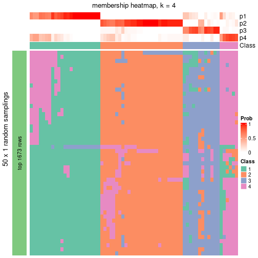 plot of chunk tab-node-0131-membership-heatmap-3