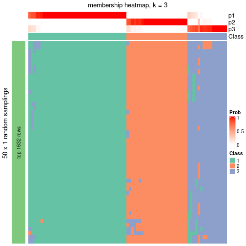 plot of chunk tab-node-014-membership-heatmap-2