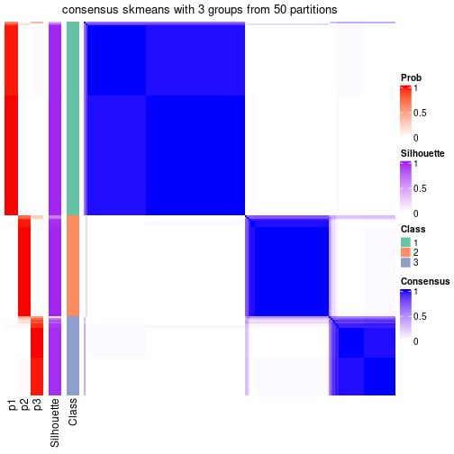 plot of chunk tab-node-021-consensus-heatmap-2