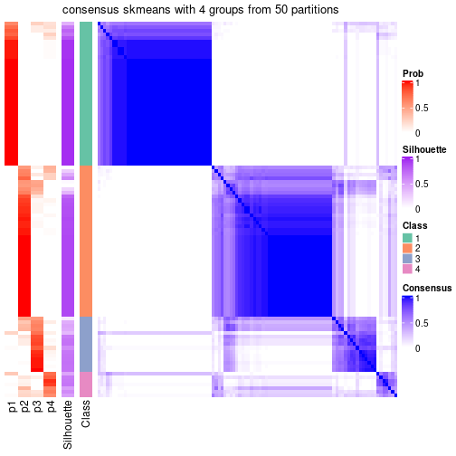 plot of chunk tab-node-0211-consensus-heatmap-3