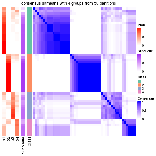 plot of chunk tab-node-0212-consensus-heatmap-3