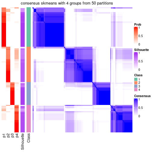 plot of chunk tab-node-031-consensus-heatmap-3