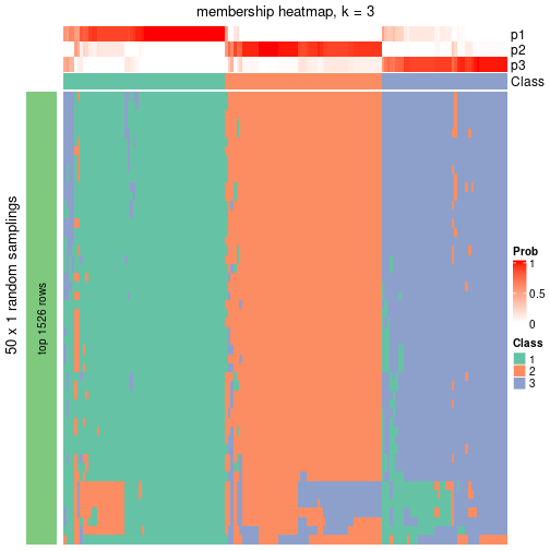 plot of chunk tab-node-031-membership-heatmap-2