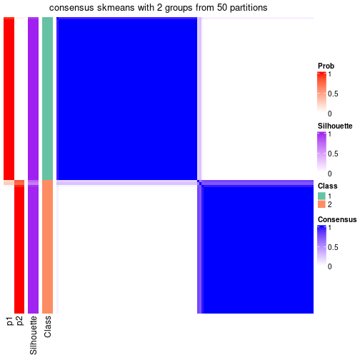 plot of chunk tab-node-032-consensus-heatmap-1