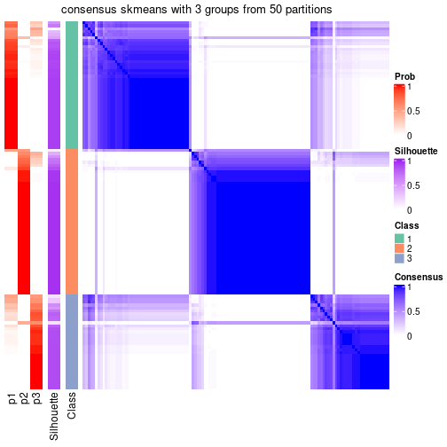 plot of chunk tab-node-032-consensus-heatmap-2