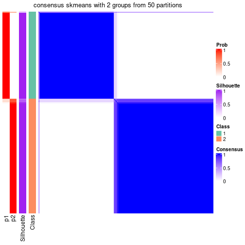 plot of chunk tab-node-04-consensus-heatmap-1