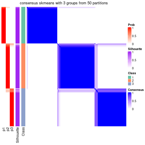 plot of chunk tab-node-041-consensus-heatmap-2