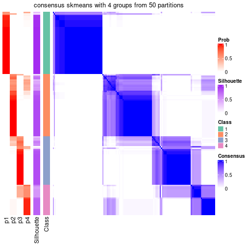 plot of chunk tab-node-041-consensus-heatmap-3