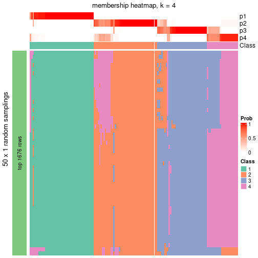 plot of chunk tab-node-041-membership-heatmap-3