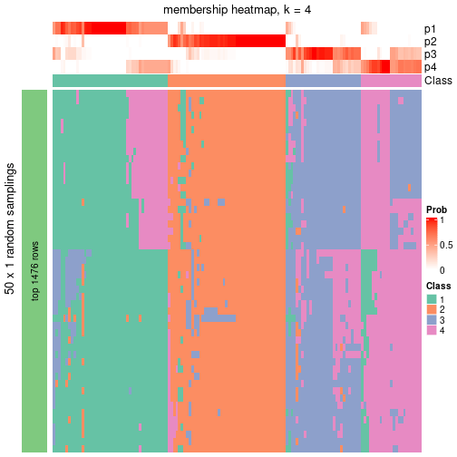 plot of chunk tab-node-042-membership-heatmap-3