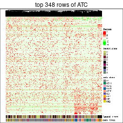 plot of chunk top-rows-heatmap