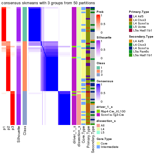 plot of chunk tab-node-021-consensus-heatmap-2