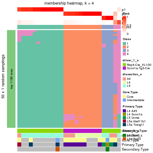 plot of chunk tab-node-0221-membership-heatmap-3