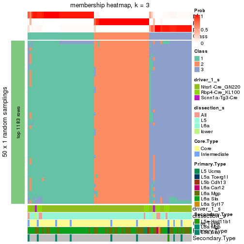 plot of chunk tab-node-03-membership-heatmap-2