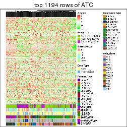 plot of chunk top-rows-heatmap