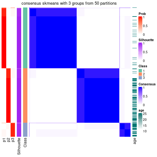 plot of chunk tab-node-0-consensus-heatmap-2