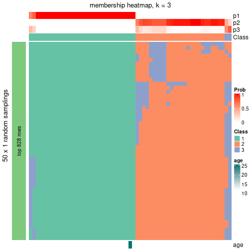 plot of chunk tab-node-011-membership-heatmap-2