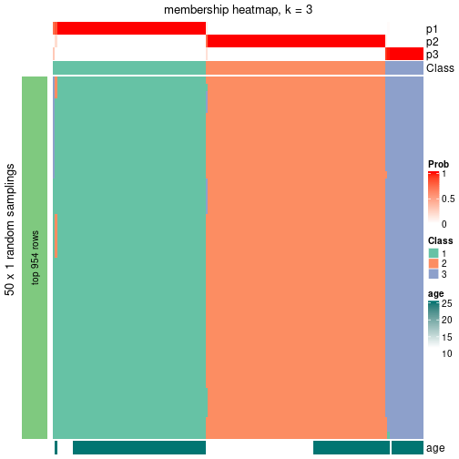 plot of chunk tab-node-02-membership-heatmap-2