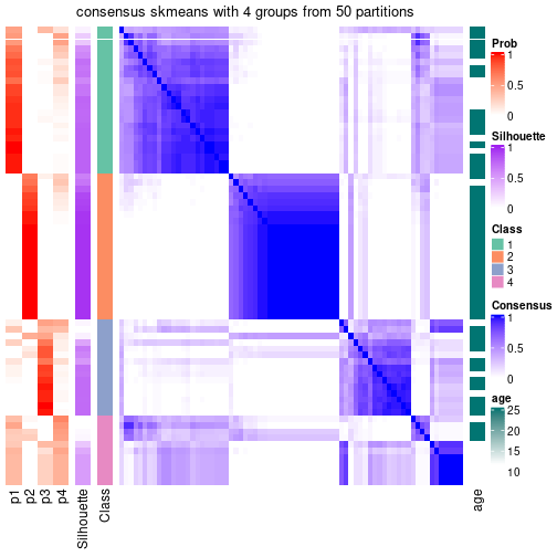 plot of chunk tab-node-03-consensus-heatmap-3