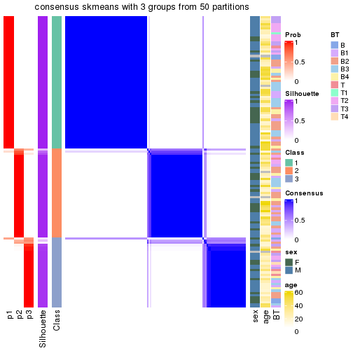 plot of chunk tab-node-0-consensus-heatmap-2