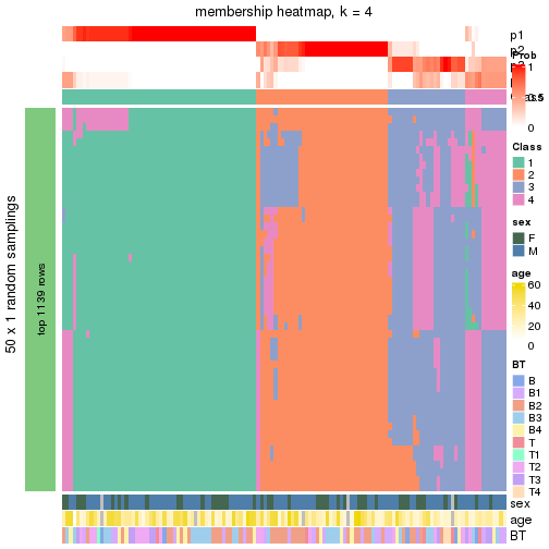 plot of chunk tab-node-0-membership-heatmap-3