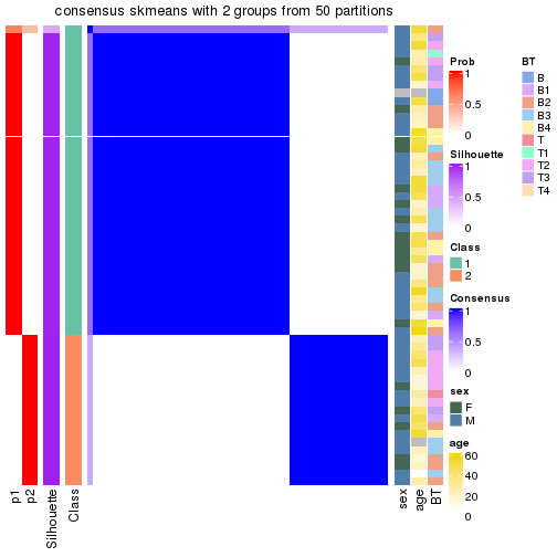 plot of chunk tab-node-01-consensus-heatmap-1