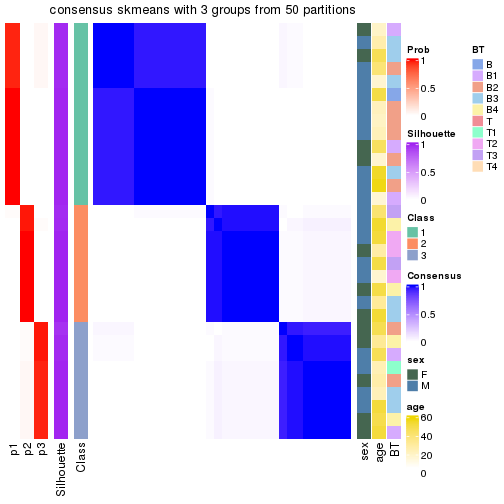 plot of chunk tab-node-011-consensus-heatmap-2