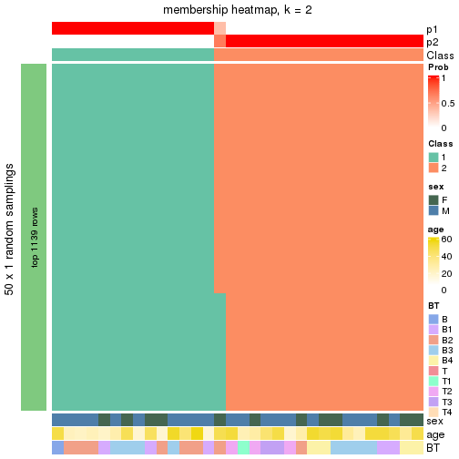 plot of chunk tab-node-011-membership-heatmap-1