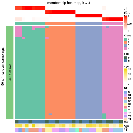 plot of chunk tab-node-011-membership-heatmap-3