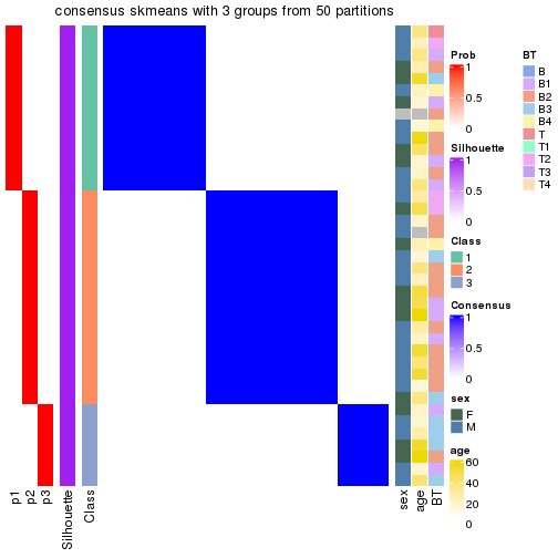 plot of chunk tab-node-02-consensus-heatmap-2