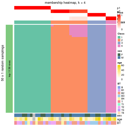 plot of chunk tab-node-02-membership-heatmap-3