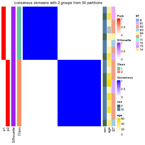 plot of chunk tab-node-022-consensus-heatmap-1