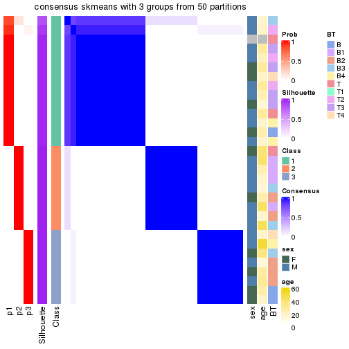 plot of chunk tab-node-03-consensus-heatmap-2