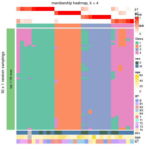 plot of chunk tab-node-03-membership-heatmap-3