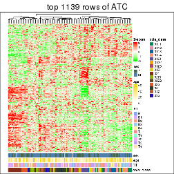 plot of chunk top-rows-heatmap