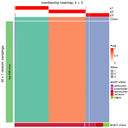 plot of chunk tab-node-0211-membership-heatmap-2