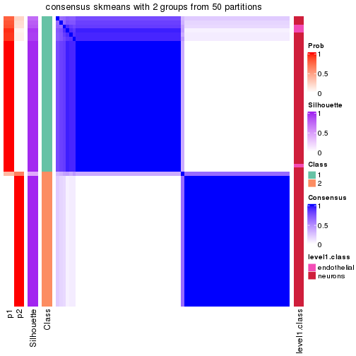 plot of chunk tab-node-02112-consensus-heatmap-1