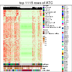 plot of chunk top-rows-heatmap