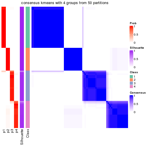 plot of chunk tab-node-0-consensus-heatmap-3