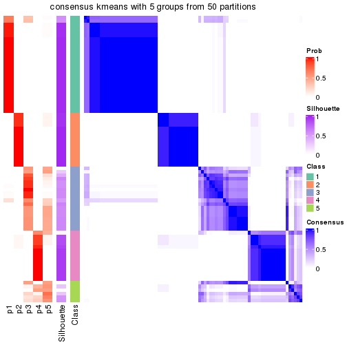 plot of chunk tab-node-0-consensus-heatmap-4