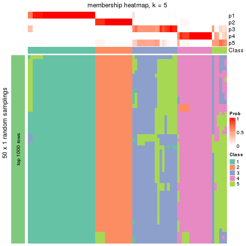 plot of chunk tab-node-0-membership-heatmap-4