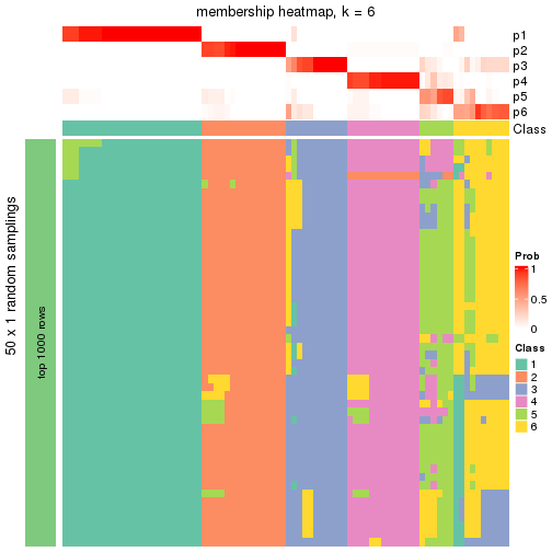 plot of chunk tab-node-0-membership-heatmap-5