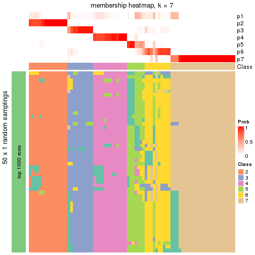 plot of chunk tab-node-0-membership-heatmap-6