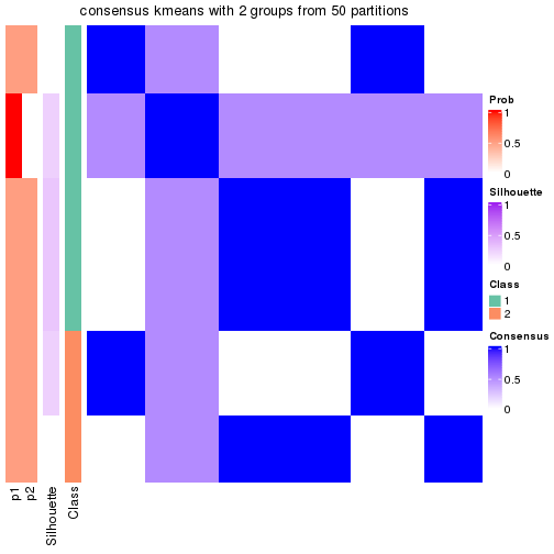 plot of chunk tab-node-01-consensus-heatmap-1