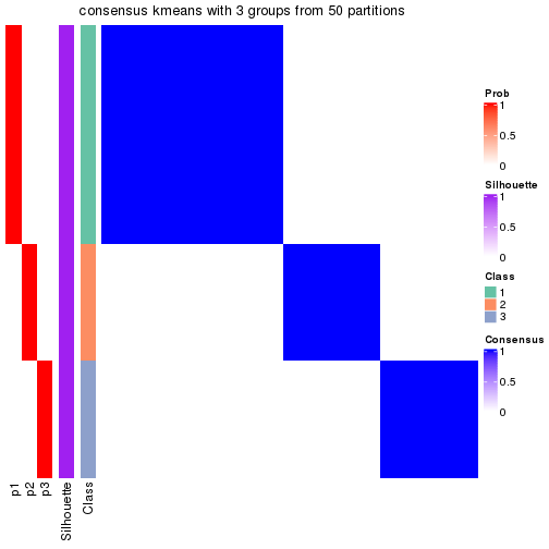 plot of chunk tab-node-01-consensus-heatmap-2