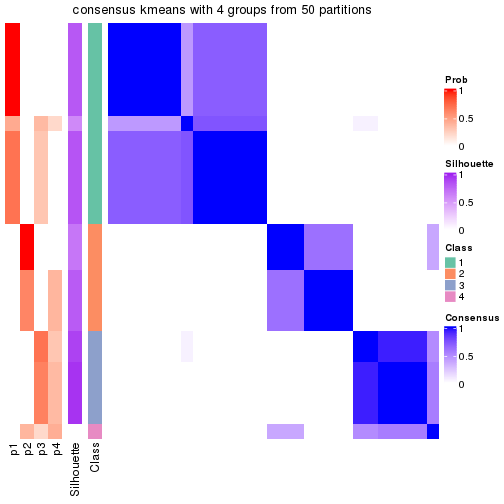 plot of chunk tab-node-01-consensus-heatmap-3