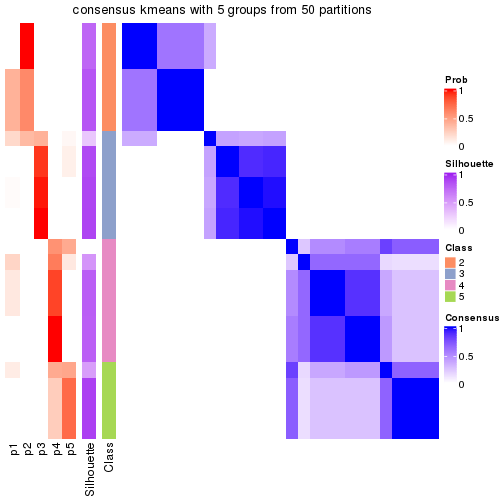 plot of chunk tab-node-01-consensus-heatmap-4