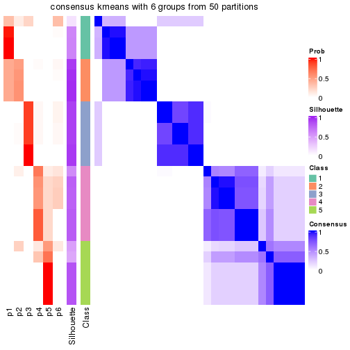 plot of chunk tab-node-01-consensus-heatmap-5