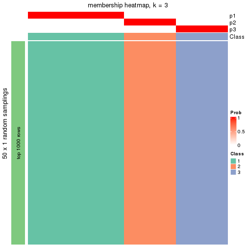 plot of chunk tab-node-01-membership-heatmap-2